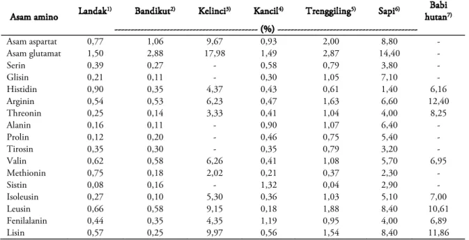 Tabel  11.  Komposisi asam amino daging landak dan hewan lain 