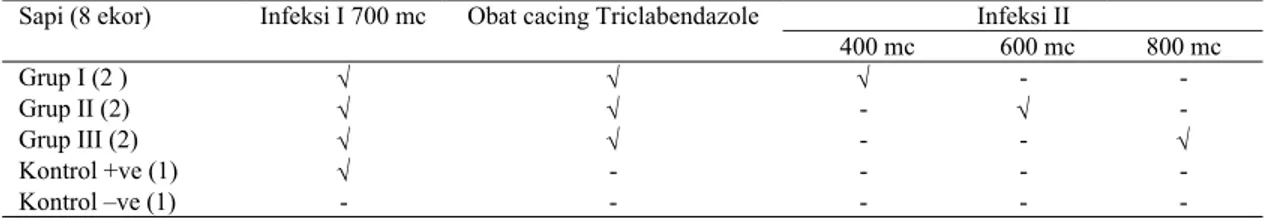 Tabel 1. Ringkasan perlakuan terhadap hewan percobaan sapi yang diinfeksi dengan metaserkaria (mc) Fasciola gigantica  Sapi (8 ekor)  Infeksi I 700 mc  Obat cacing Triclabendazole  Infeksi II 