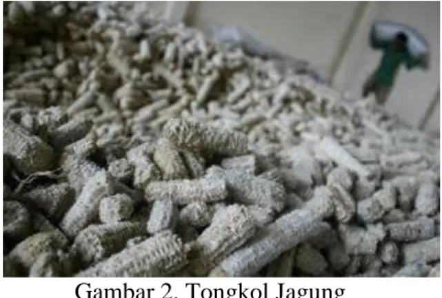 Gambar 2. Tongkol Jagung 