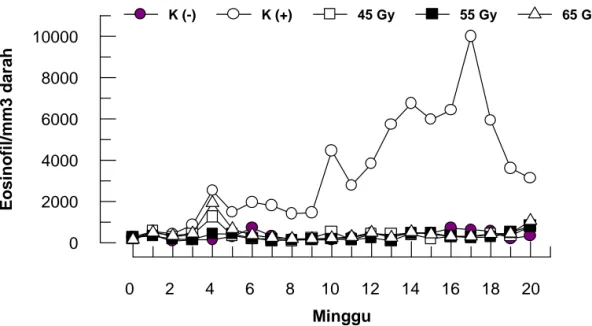 Gambar 1. Rataan jumlah eosinofil pada kambing kelompok kontrol dan iradiasi  selama 20 minggu percobaan