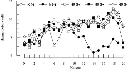 Gambar 3. Rataan kadar hemoglobin (Hb) pada kambing kelompok kontrol dan iradiasi selama 20 minggu percobaan 