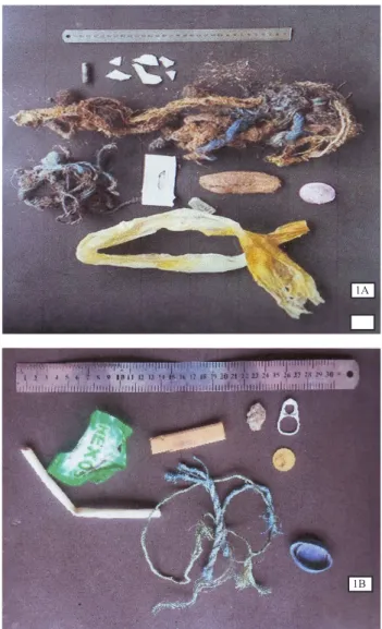 Gambar 1.   Benda asing yang ditemukan pada rumen   (1A) sapi bali berupa bungkus makanan,  kantung plastik, tali tambang plastik, tutup  sikat gigi, keramik, biji mangga kering,  kawat, dan batu baterai,  sedangkan pada  reticulum (1B) ditemukan tutup bot