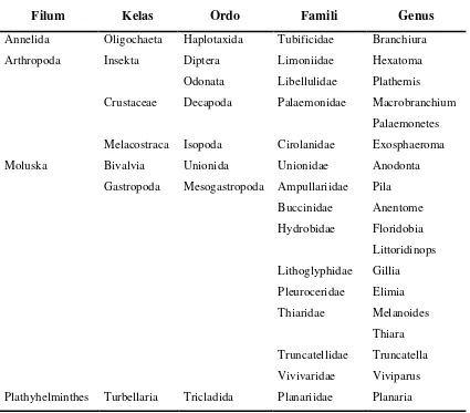 Tabel 2. Klasifikasi Makrozoobentos yang Diperoleh Pada Setiap Stasiun Penelitian 