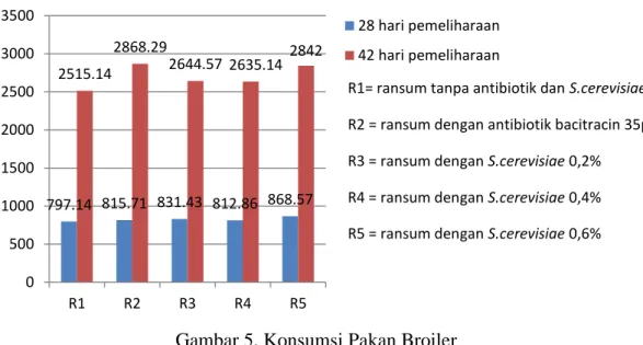 Gambar 5. Konsumsi Pakan Broiler 