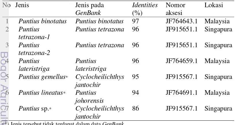 Tabel 8  Hasil blastn sekuen COI Puntius spp. terhadap data sekuen pada GenBank 