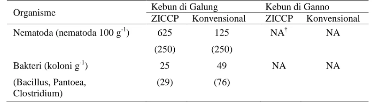 Tabel  5   Kelimpahan  nematoda  dan  bakteri  pada  tanah  di  kebun  dengan  sistem  zero  waste  integrated  cocoa-cow  production  (ZWICCP)  dan  kebun  konvensional