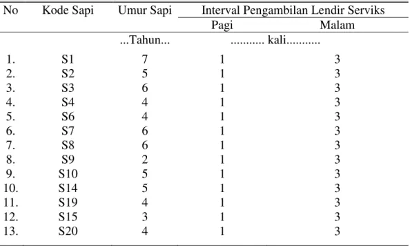 Tabel 1.  Kode  Sapi,  Umur,  Interval  Pengambilan  Lendir  Serviks  Sapi  Jawa Brebes Betina