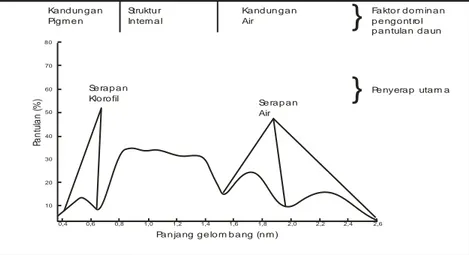 Gambar 3.   Kurva  pantulan  spektral  vegetasi     (Sumber:    Hoffer,  1978 dalam Syam, 2004)