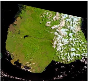 Gambar 7.  Foto Citra Landsat 8 tanggal 24 Juli 2016.  3.  Klasifikasi 