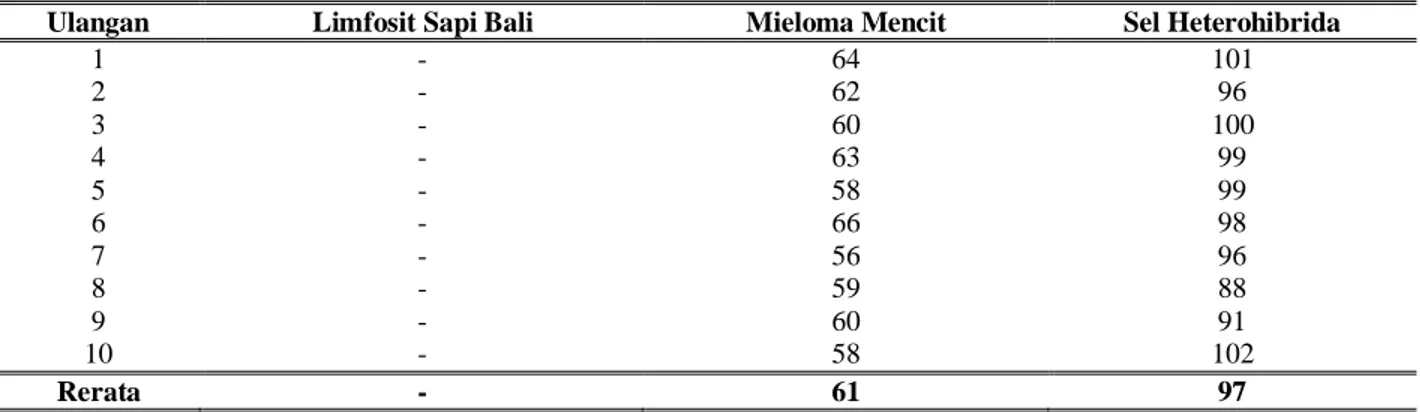 Tabel  1.  Hasil  Penghitungan  Jumlah  Pasang  Kromosom  (2n)  dari  Limfosit  Sapi, Mieloma  mencit  dan  Sel  Heterohibrida 
