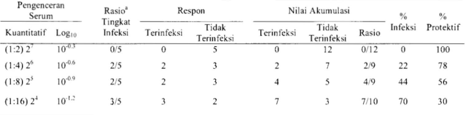 Tabel  5.  Hasil Uji Netralisasi Antibodi Anti H5N1  di  dalam Kolostrum  Crude  Terhadap Virus H5N1  Pengenceran 