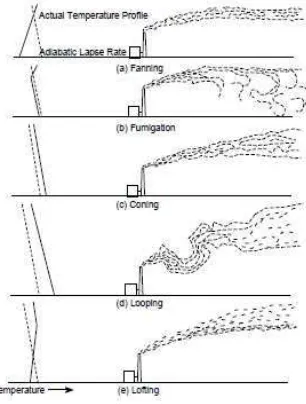 Gambar 2.1 Variasi Jenis Kepulan Polutan dan Stabilitas Atmosfer Sumber: Liu (1999) 