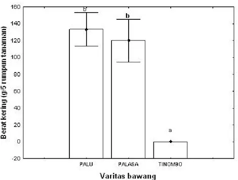 Gambar 2. Rata-rata produksi bawang merah varietas Palu, Palasa, dan Tinombo pada akhir pengamatan