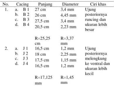 Tabel 1. Morfologi cacing Ascaris suum. 