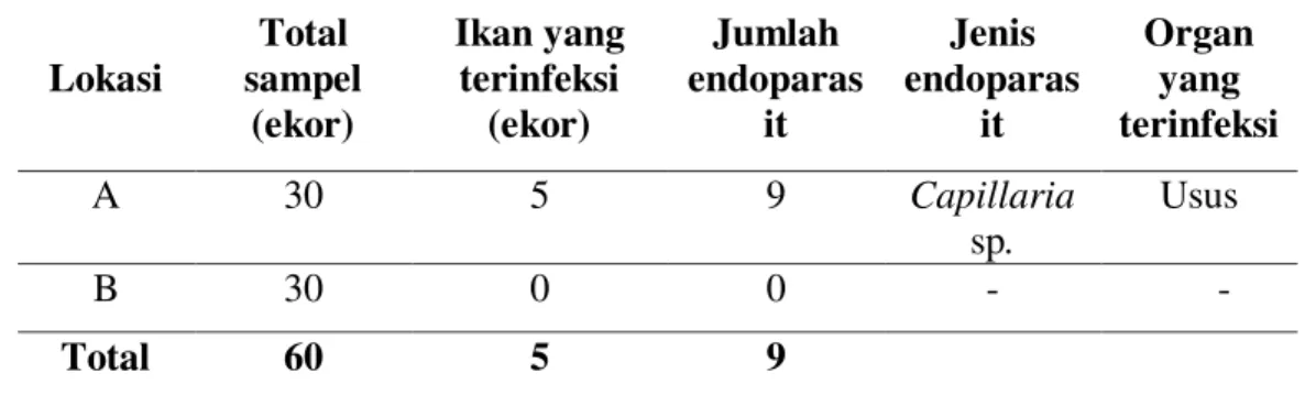 Tabel 2. Jenis dan jumlah endoparasit pada kolam budidaya Desa Nya 