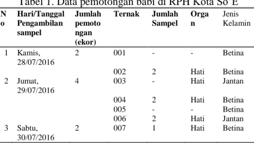 Tabel 1. Data pemotongan babi di RPH Kota So’E  N o   Hari/Tanggal Pengambilan  sampel   Jumlah pemotongan  (ekor)  Ternak   Jumlah Sampel  Organ  Jenis  Kelamin  1    Kamis,  28/07/2016  2  001  -  -   Betina   002  2  Hati  Betina   2  Jumat,  29/07/2016