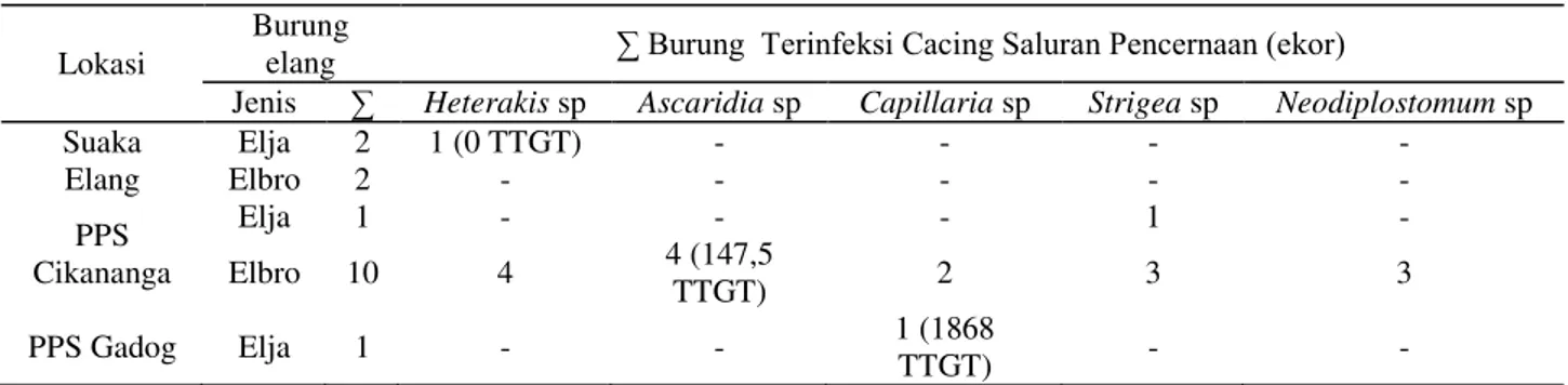 Tabel 2.  Jumlah Infeksi Cacing Saluran Pencernaan pada Elang Jawa dan Elang Brontok di Habitat Eks-Situ  Lokasi 