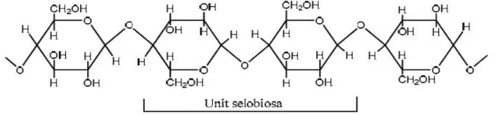 Gambar 2.2 Struktur selulosa (Lehninger, 1990) 