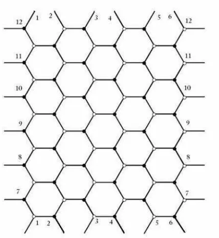Gambar 2.9 Honeycomb Rectangular Torus (HReT (6,12))