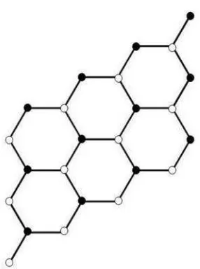 Gambar 2.11 Honeycomb Rhombic Mesh (HRoM (4,6))