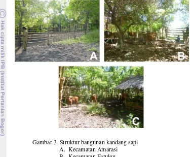 Gambar 4 Lokasi penggembalaan sapi di Kabupaten Kupang 