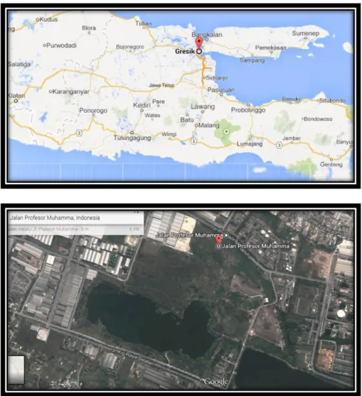 Gambar 1.1. Lokasi Prarancangan Pabrik Kalsium Hidroksida  (Sumber : https://maps.google.com) 