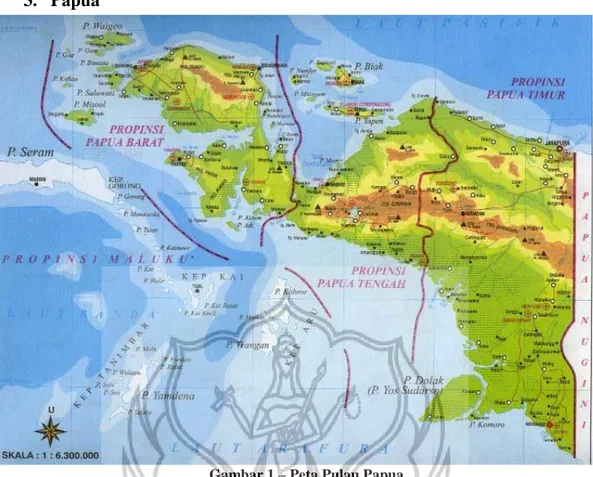 Gambar 1 – Peta Pulau Papua 