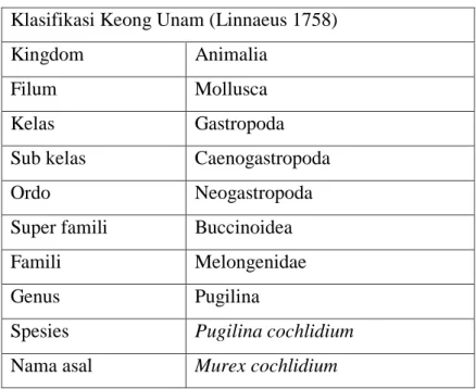 Tabel 4. Klasifikasi biota keong unam. 81  Klasifikasi Keong Unam (Linnaeus 1758) 