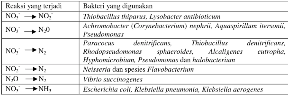 Tabel 3. Deskripsi Komponen Sel Bakteri [6]. 