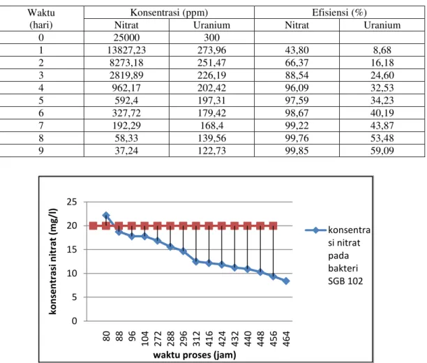 Tabel 4. Konsentrasi Nitrat dan Uranium Pada Aklimatisasi Untuk Bakteri  Waktu 
