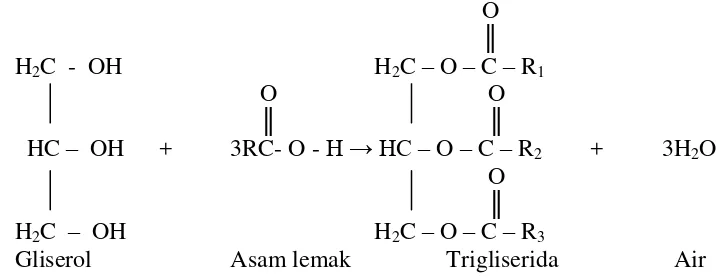 Gambar 2.1. Reaksi pembentukan trigliserida dari gliserol dan asam lemak. 