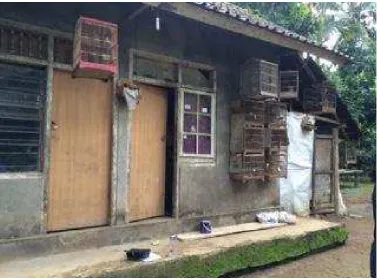 Gambar Keadaan Rumah Bapak Putu Sariana