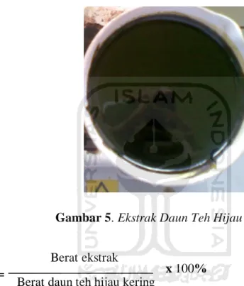 Gambar 5. Ekstrak Daun Teh Hijau 