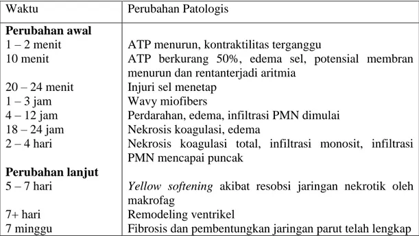 Tabel 2.1  Lini Waktu Perubahan Patologis pada Infark Transmural 