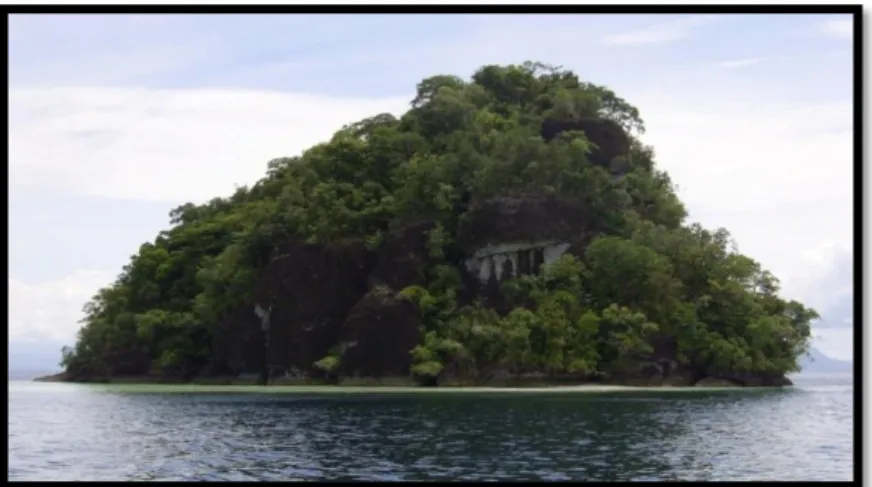 Gambar 4.4 : Pulau Janggi 
