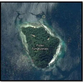 Gambar 4.6 : Pulau Situngkus 