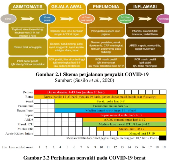 Gambar 2.2 Perjalanan penyakit pada COVID-19 berat   Sumber: (Susilo et al., 2020) 