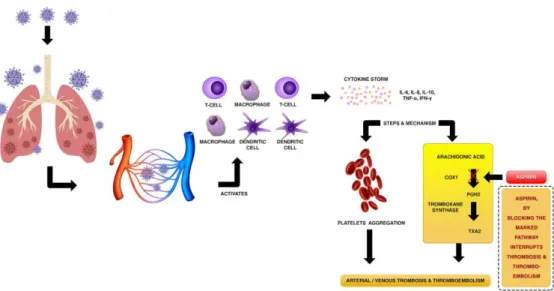 Gambar 2.5 Mekanisme diduga penyakit trombotik pada pasien COVID-19  dan mekanisme biokimia antiplatelet untuk mencegah trombosis 