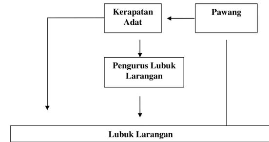 Gambar 1. Struktur dalam pengelolaan Lubuk Larangan Sialang Jaya. 