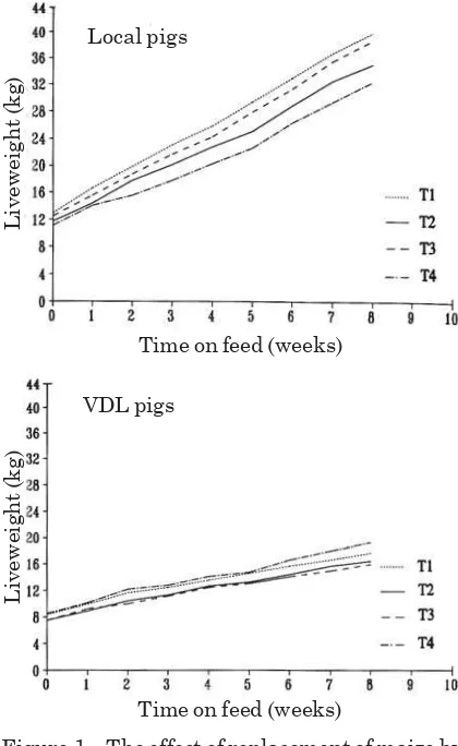 Figure 2. Feed consumption (kg per animal perweek) of local and VDL pigs