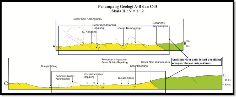 Gambar 7. Penampang geologi yang menunjukan kompleks lipatan 