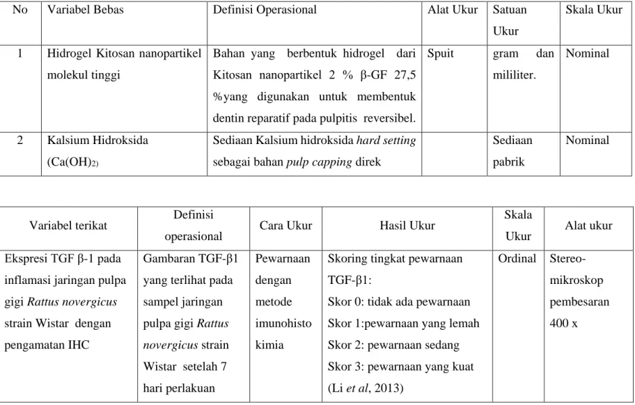 Tabel 1. Definisi operasional variabel bebas dan terikat 