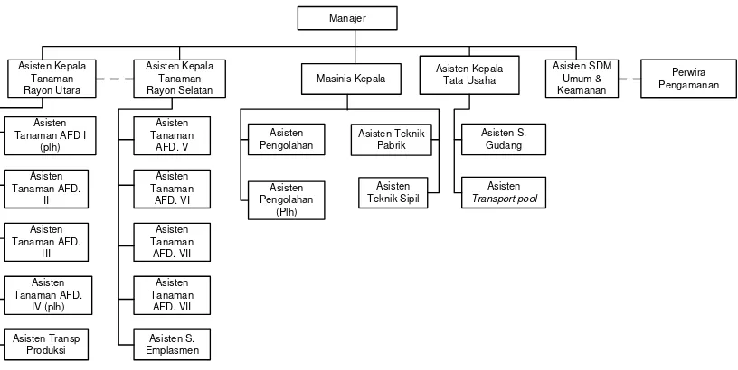 Gambar 2.2. Struktur Organisasi PT Perkebunan Nusantara IV Dolok Ilir 