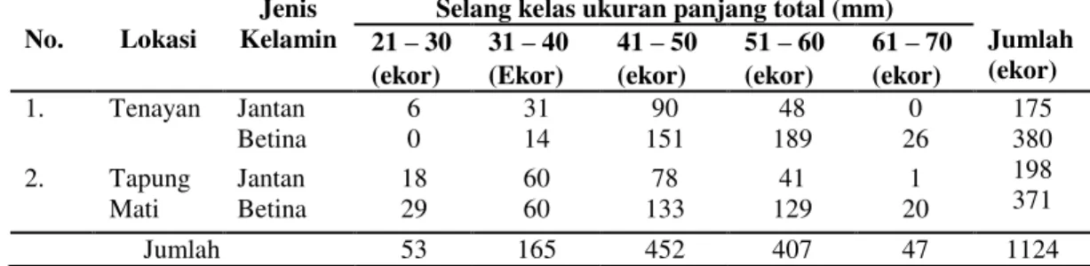 Tabel 1. Jumlah ikan pantau janggut tertangkap dari Sungai Tenayan dan anak  Sungai   Tapung Mati berdasarkan selang kelas ukuran panjang total