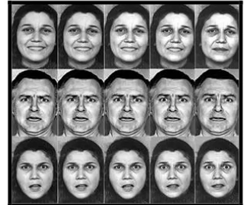 Gambar 2. Berbagai Bentuk Ekspresi Wajah manusia  Sumber :  http.membacafikiran.comwp-contentuploads201202ekspresi-wajah, Rabu, 20 