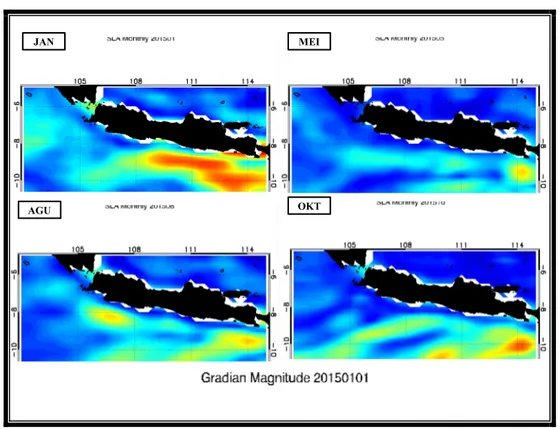 Gambar 4.  Pola Gradien Magnitudo SLA Pada Puncak Musim Tahun 2015. 