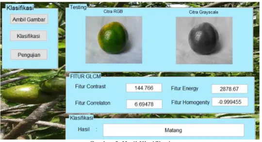 Gambar 5. Hasil Klasifikasi 