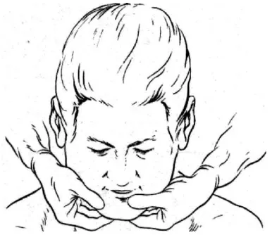 Fig. 5.8  Bimanual palpation of the submental region. This allows comparison between the two sides 
