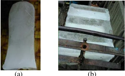 Gambar 3  Jenis es batu yang banyak digunakan oleh penjaja minuman    es di SD di Jakarta: (a) es batu dalam plastik dan (b) es balok 