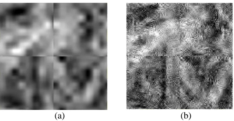 Gambar 8 Perbedaan kualitas citra secara visual antara hasil (a) metode usulan dan (b)  metode AntShrink yang diuji pada 